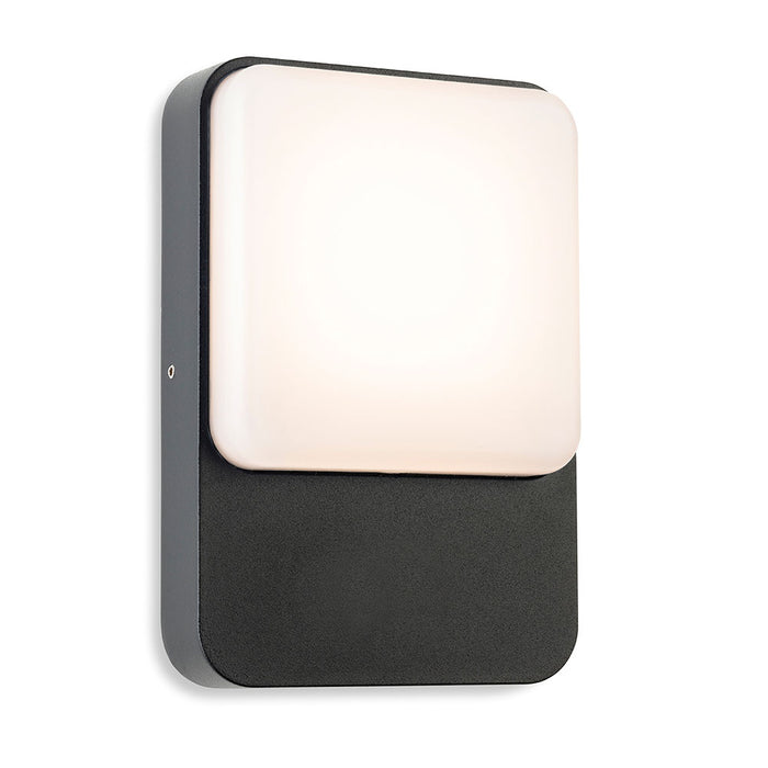 Hero LED Wall Light Graphite with White Polycarbonate Diffuser