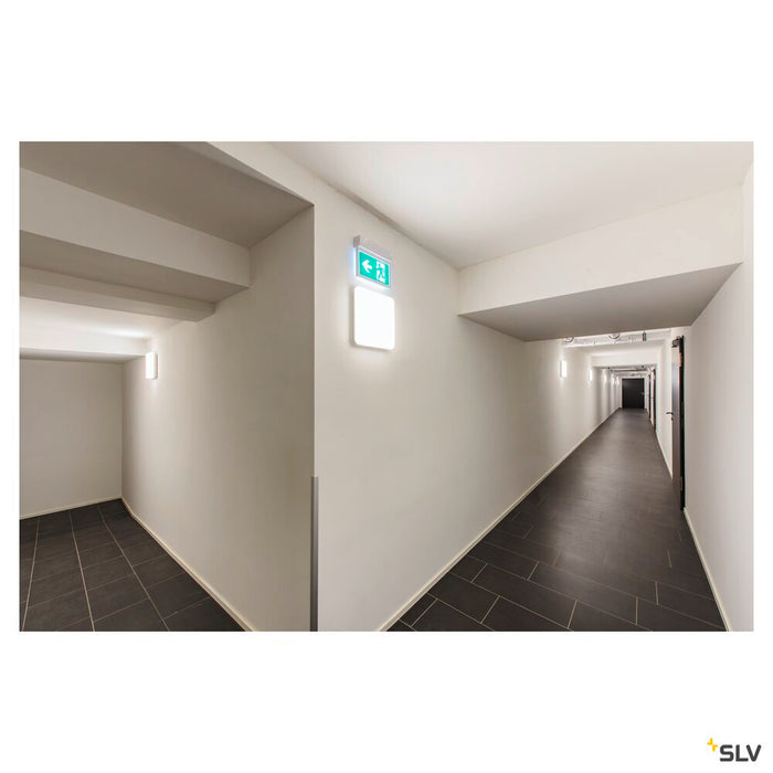 P-LIGHT 27, wall and ceiling light, emergency exit light, LED, 6000K, white, L/W/H 26.5/4.5/21 cm, 3,5W
