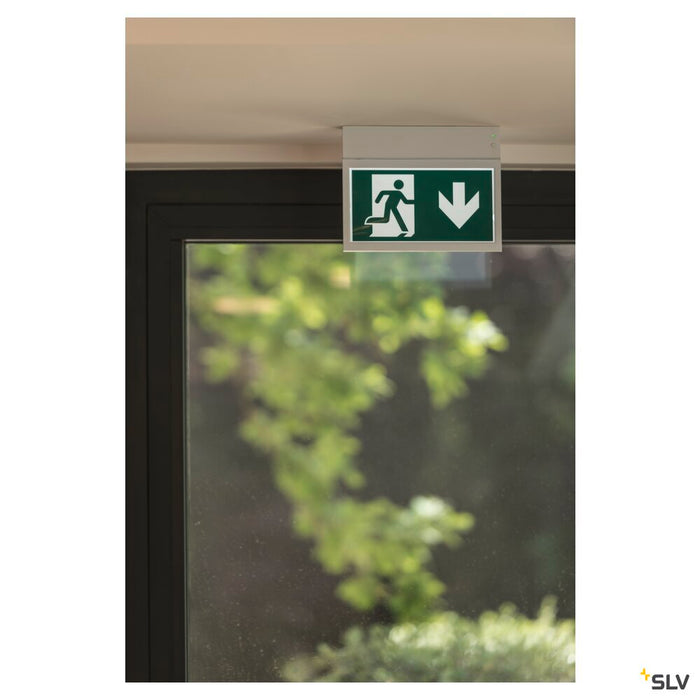 P-LIGHT 27, wall and ceiling light, emergency exit light, LED, 6000K, white, L/W/H 26.5/4.5/21 cm, 3,5W