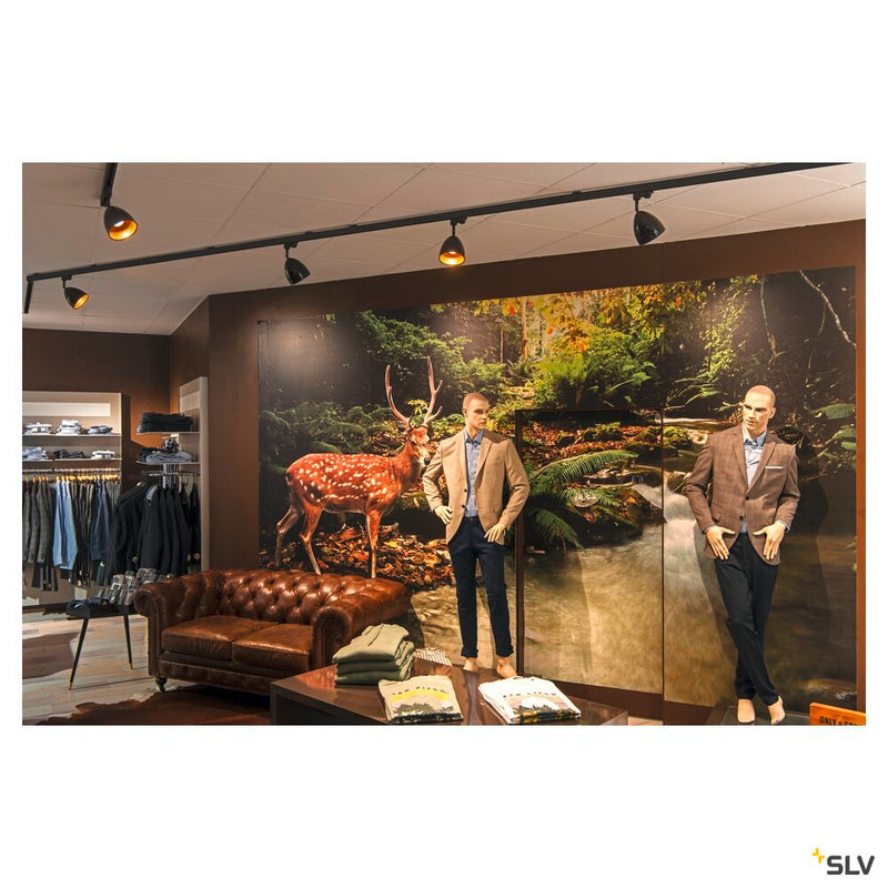 3~ PARA CONE 14 QPAR51, 3-circuit system luminaire, black/gold, incl. 3-circuit adapter