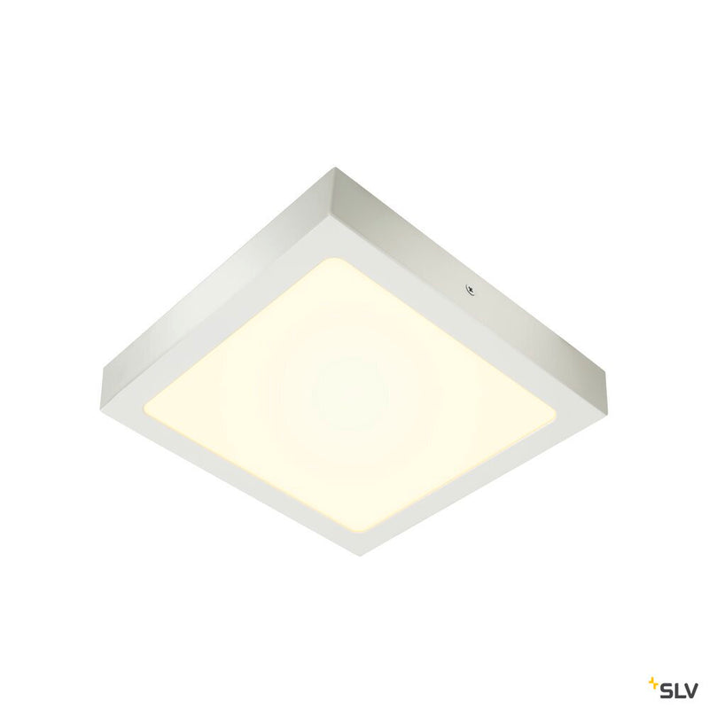 SENSER 24 CW, Indoor LED wall and ceiling-mounted light square white 4000K