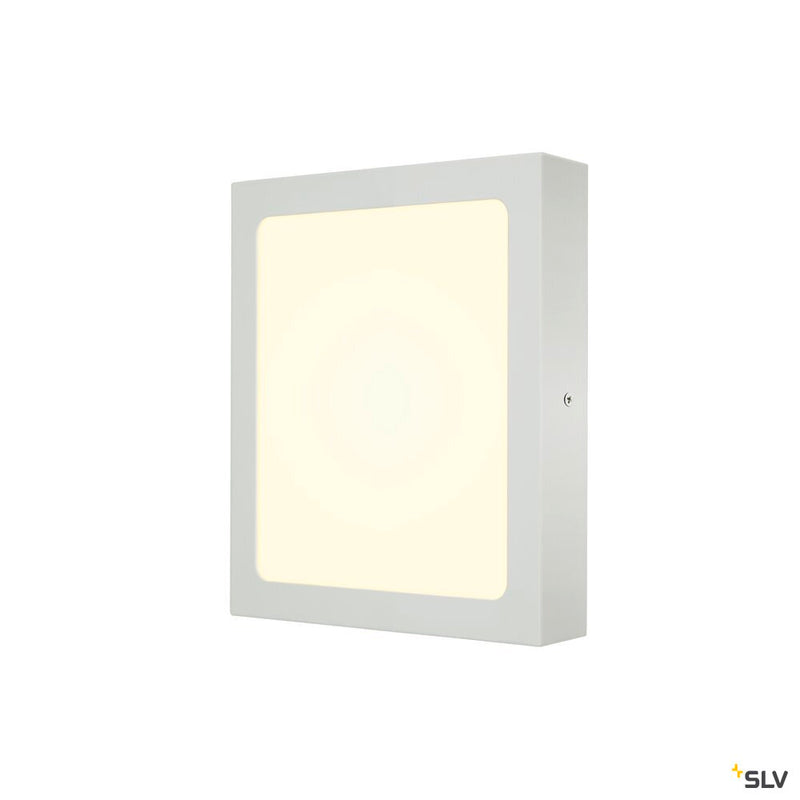 SENSER 24 CW, Indoor LED wall and ceiling-mounted light square white 4000K
