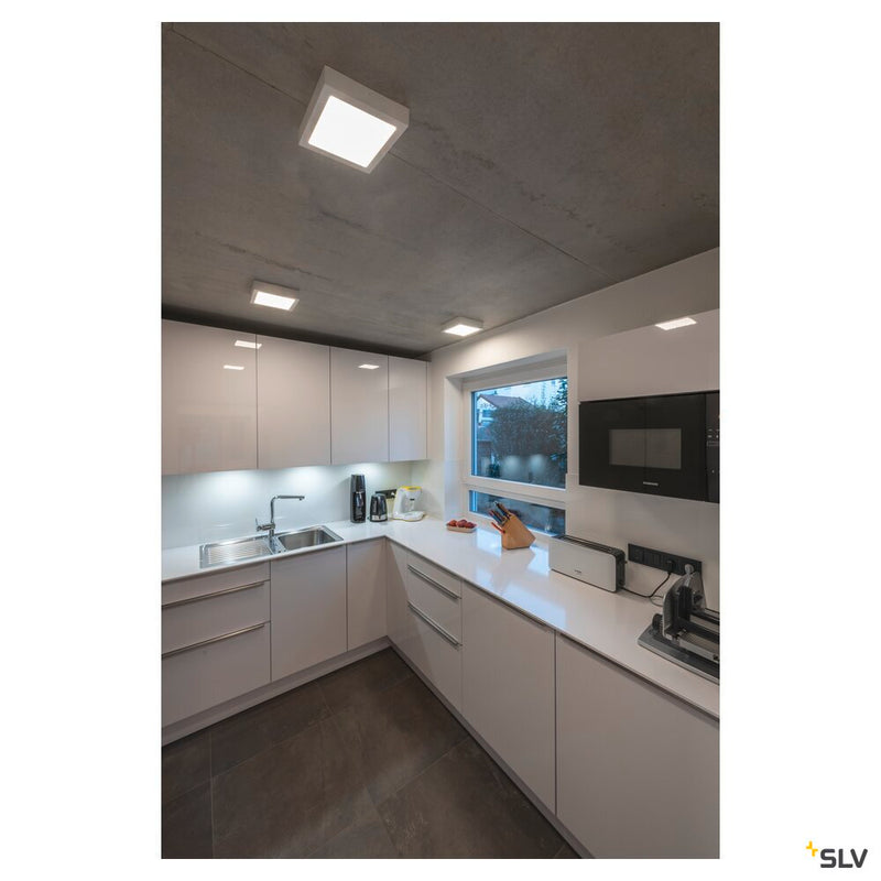 SENSER 24 CW, Indoor LED wall and ceiling-mounted light square white 4000K