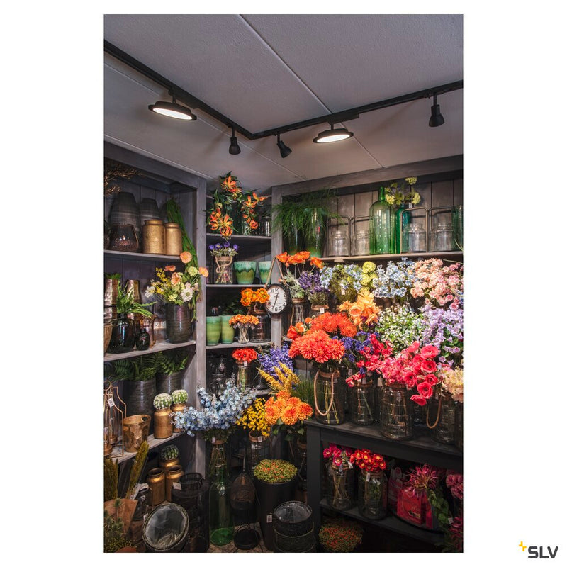 PURIA spot for high-voltage 1-circuit track, QPAR51, matt black, frosted black glass, max. 50W, incl. 1-phase adapter