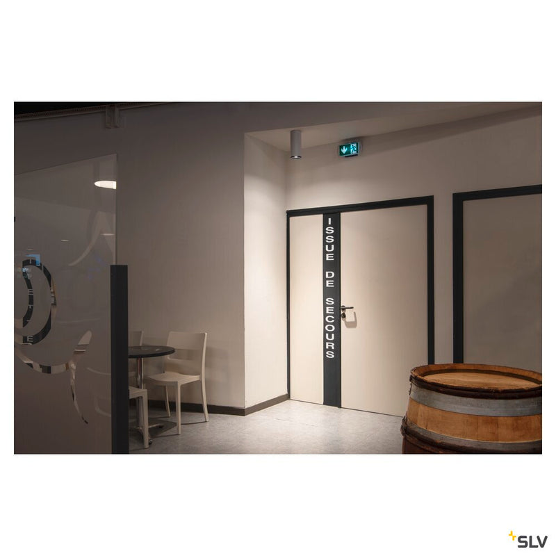 NUMINOS DALI XL, white / black ceiling mounted light, 36W 3000K 36°