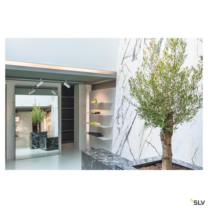 NUMINOS ZOOM M DALI, white 3-phase spot, 20W 4000K 15-60°