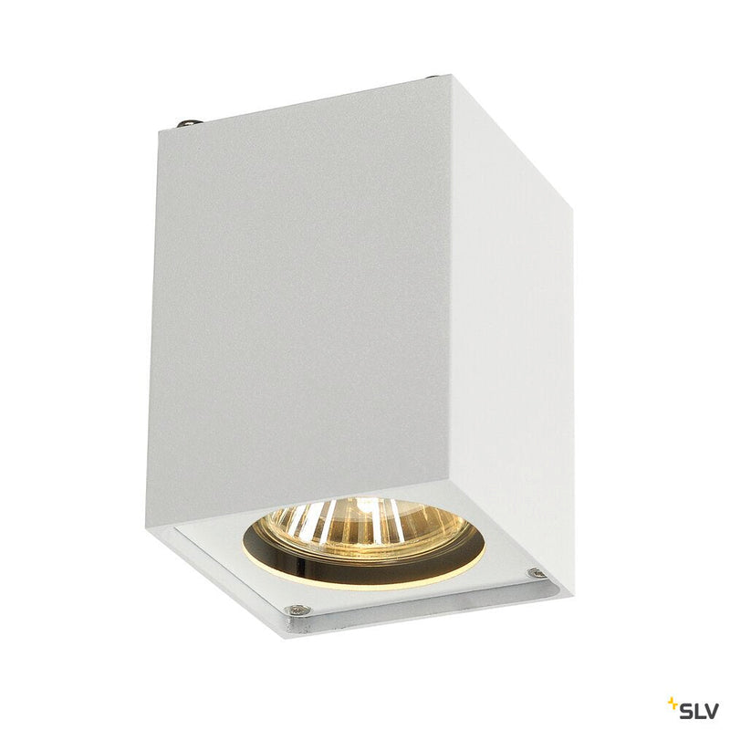 ALTRA DICE, ceiling light, QPAR51, square, white, max. 35W