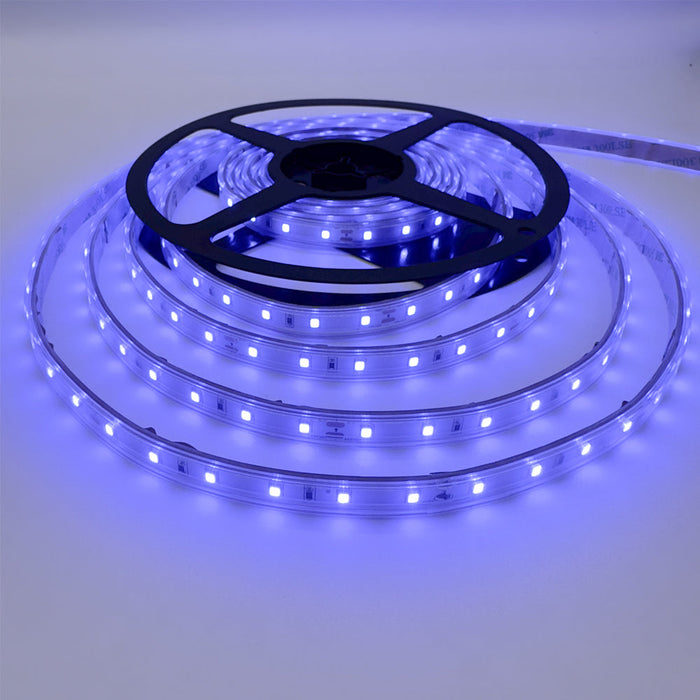 Single Colour LED Strip 5 W/m IP65 24V Blue 60 LEDs/m 10 Metre