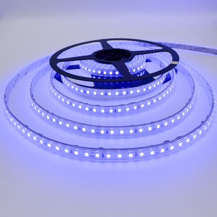 Single Colour LED Strip 10 W/m IP65 24V Blue 120 LEDs/m 5 Metre