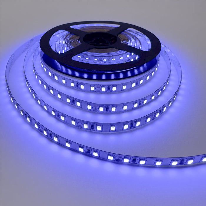 Single Colour LED Strip 10 W/m IP20 24V Blue 120 LEDs/m 5 Metre