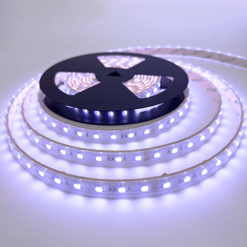 RGBW LED Strip, 20 W/m IP65 24V RGB + W (4000K) 60 LEDs/m 10 Metre