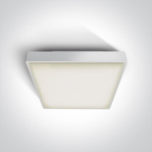 WHITE LED PLAFO 30w WW IP65 230v.