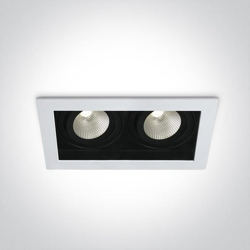 WHITE LED 2x12W CW IP20 700mA 40deg ADJUSTABLE SEMI DARK LIGHT.