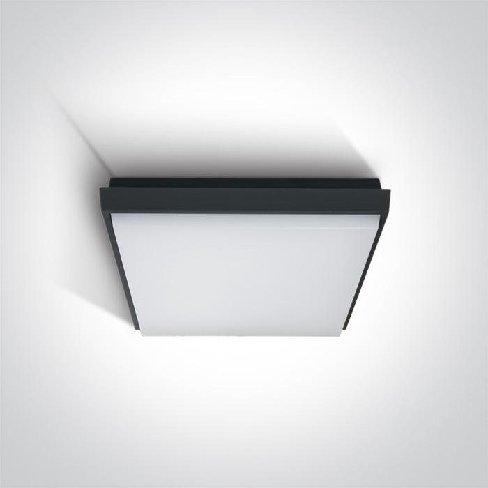 ANTHRACITE PLAFO LED 25W WW IP54 230V.