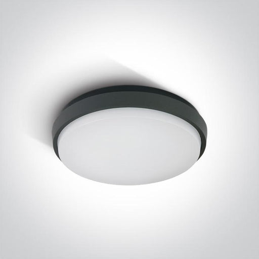 ANTHRACITE PLAFO LED 30W WW IP54 100-240V.