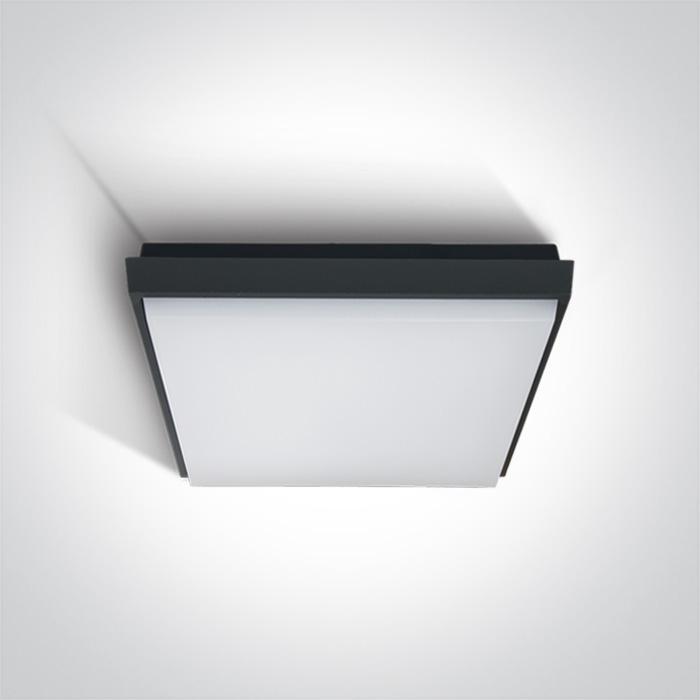 ANTHRACITE PLAFO LED 30W WW IP54 100-240V.