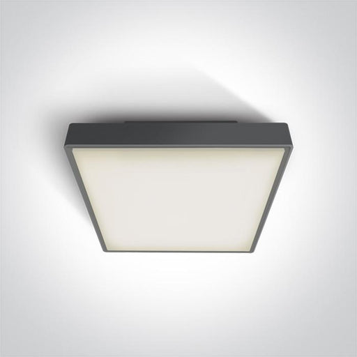 ANTHRACITE LED PLAFO 24w WW IP65 230v.