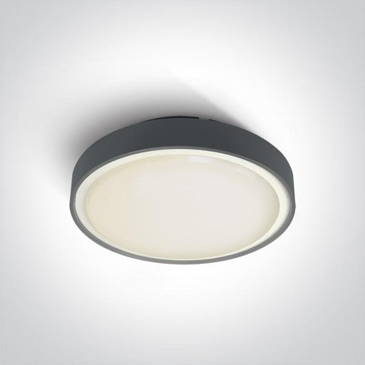 ANTHRACITE LED PLAFO 30w WW IP65 230v.