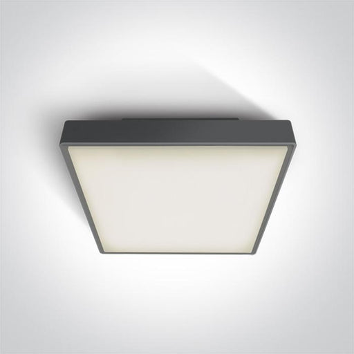 ANTHRACITE LED PLAFO 30w WW IP65 230v.