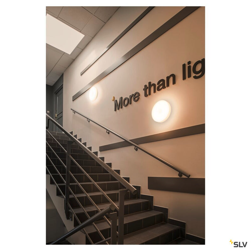 LIPSY 40 DRUM DALI CW, LED Indoor surface-mounted wall and ceiling light, white, 3000/4000K