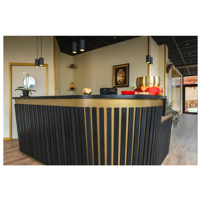 ASTO TUBE, pendant light, GU10, pendant length 250 cm, 2x max. 10 W, black