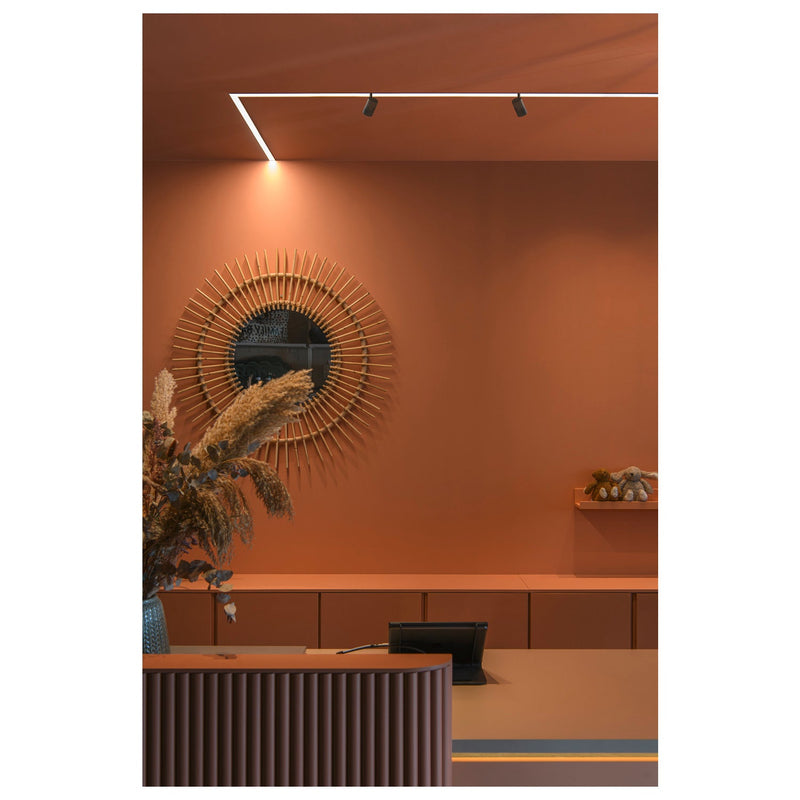 IN-LINE 22 48V TRACK, opal, DALI, spot, black / black, 7.3W, 540lm, 2700K, CRI90, 95°