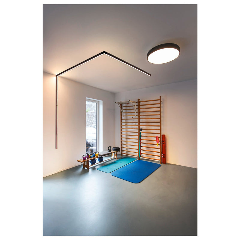 IN-LINE 44 48V TRACK, opal, DALI, spot, black / black, 14W, 1180lm, 3000K, CRI90, 95°