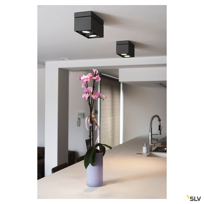 KARDAMOD ceiling light, double-headed, QPAR111, rectangular, matt black, max. 150W