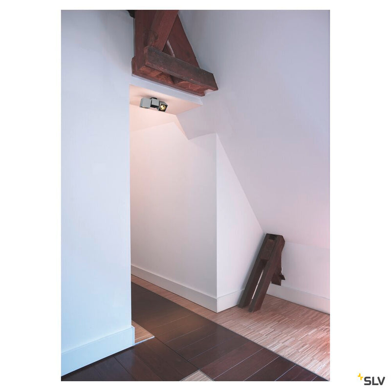 ALTRA DICE, ceiling light, double-headed, QPAR51, silver-grey/black, max. 100 W